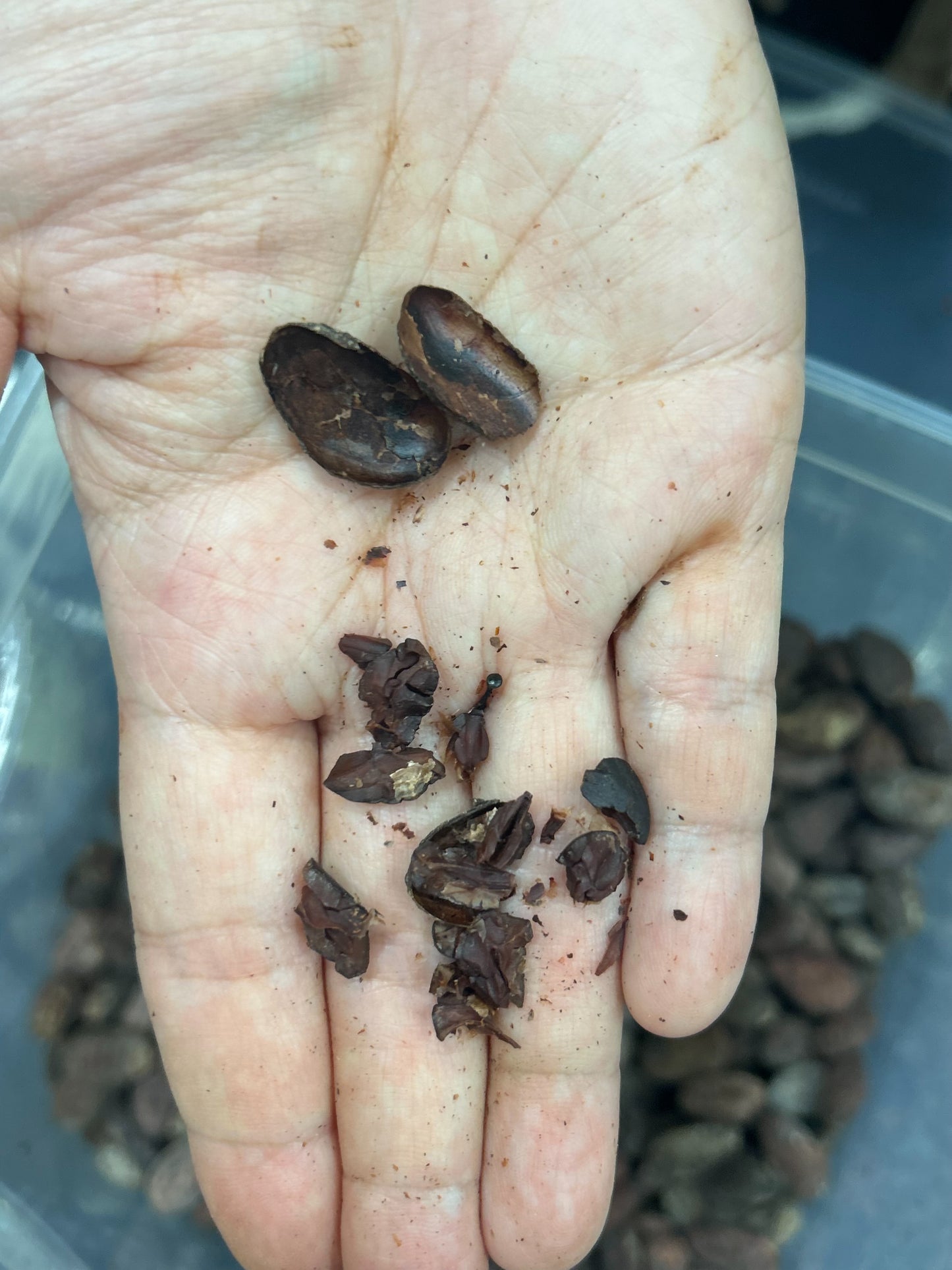 70% Vanuatu Bean-To-Bar Dark Chocolate (V)(GF)