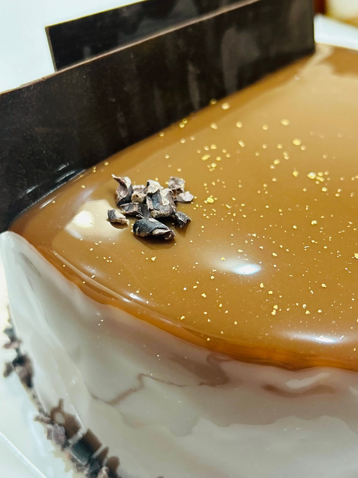 Chocolate Hazelnut Praline Mousse Cake